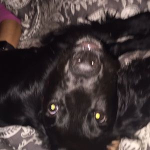 Meet your Posher, Chloe